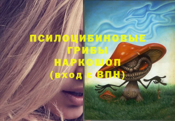 сатива Арсеньев