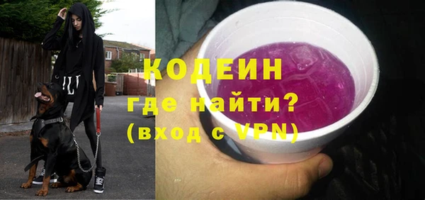 шишки Слюдянка