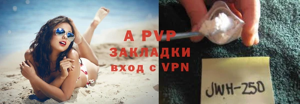 сатива Арсеньев