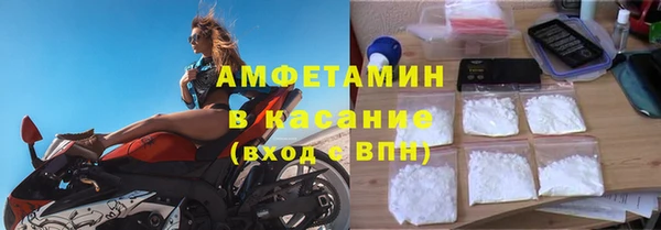 сатива Арсеньев