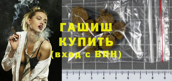 шишки Слюдянка