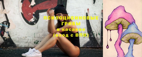 мяу мяу мука Снежинск