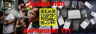 хмурый Кингисепп