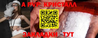 хмурый Кингисепп