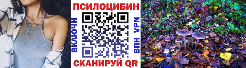 Псилоцибиновые грибы мухоморы  закладка  Куйбышев 