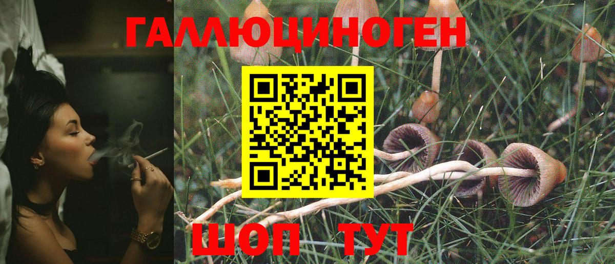 Галлюциногенные грибы Magic Shrooms Куйбышев